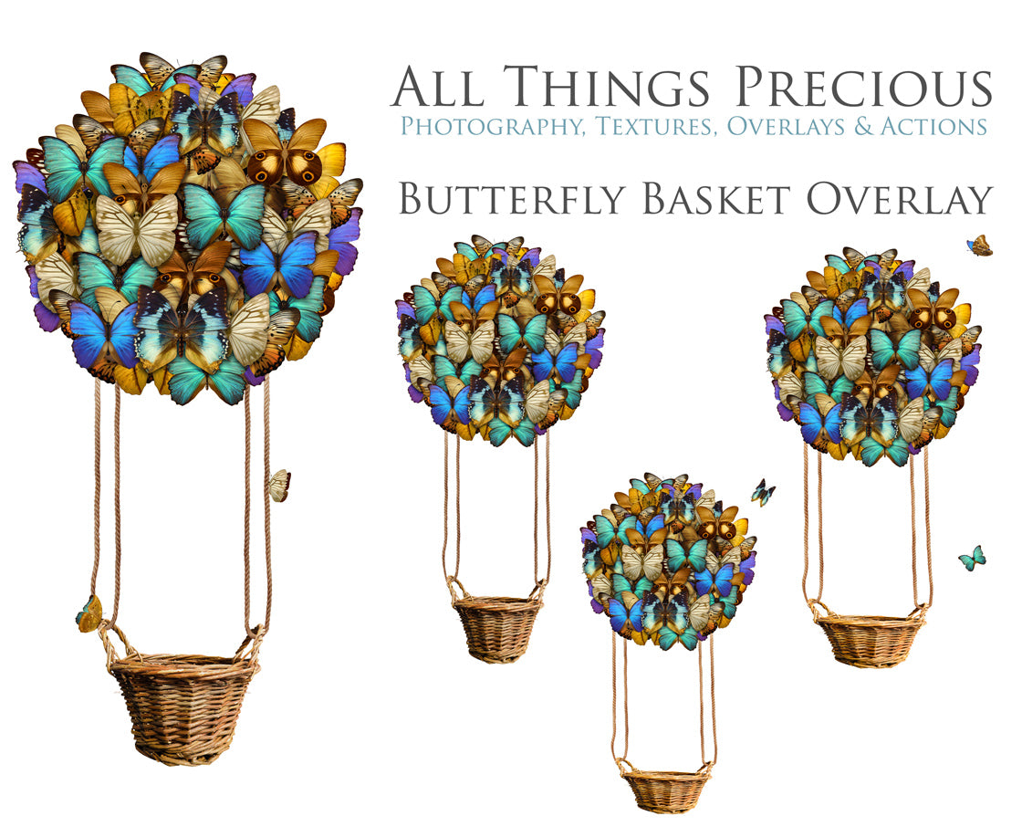 BUTTERFLY BASKET Digital Overlays Clipart
